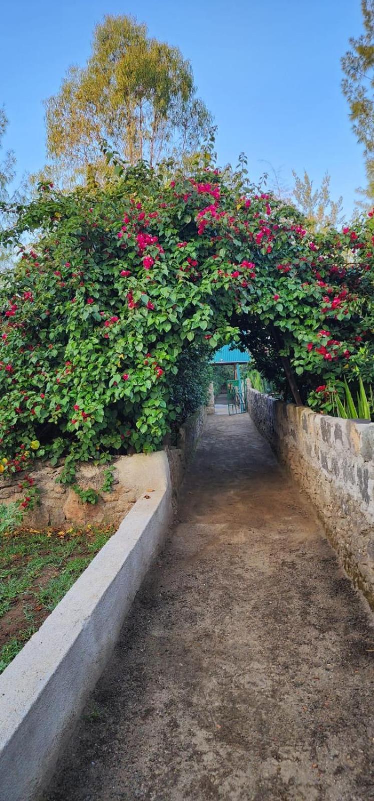 Lillypond Camp Ξενοδοχείο Elmenteita Εξωτερικό φωτογραφία